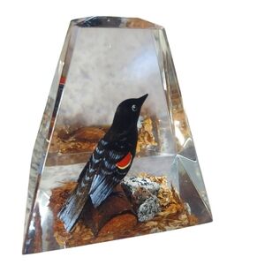 Red-Winged Blackbird Paper Weight Office/Desk Decor